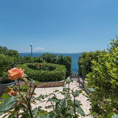 Daniela * 特罗吉尔