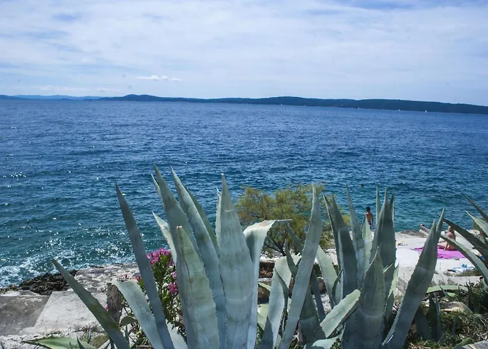 Daniela Appartement *